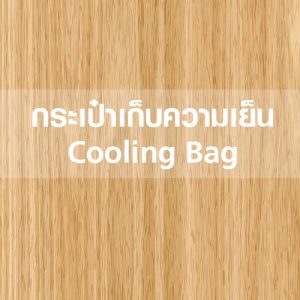 กระเป๋าเก็บความเย็น Cooling Bag