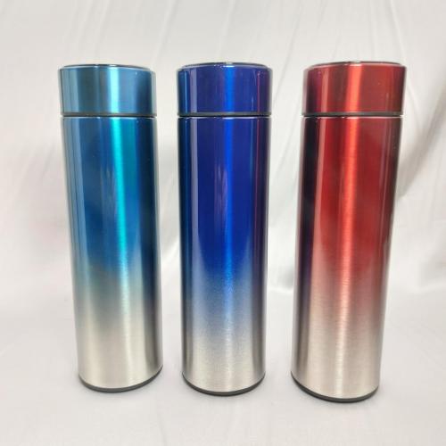 Temperature Stainless Bottle